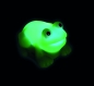Leucht Frosch